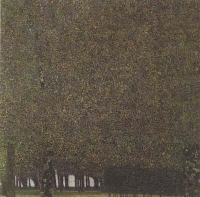 Gustav Klimt The Park (mk20) oil painting image